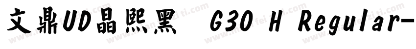 文鼎UD晶熙黑体G30 H Regular字体转换